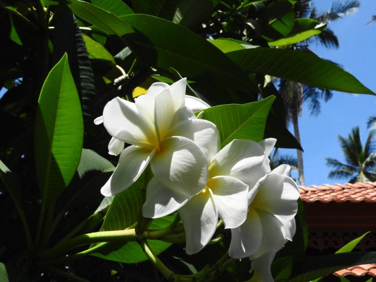 Laura Guest House-Adult Only- Hua Thanon  Buitenkant foto